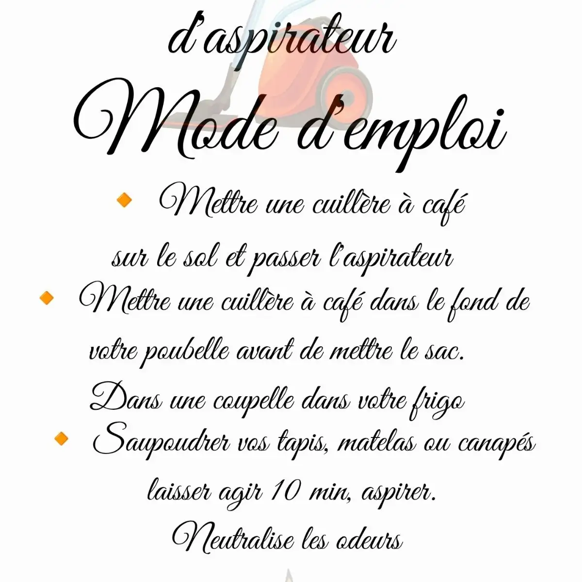 poudre d'aspirateur pêche