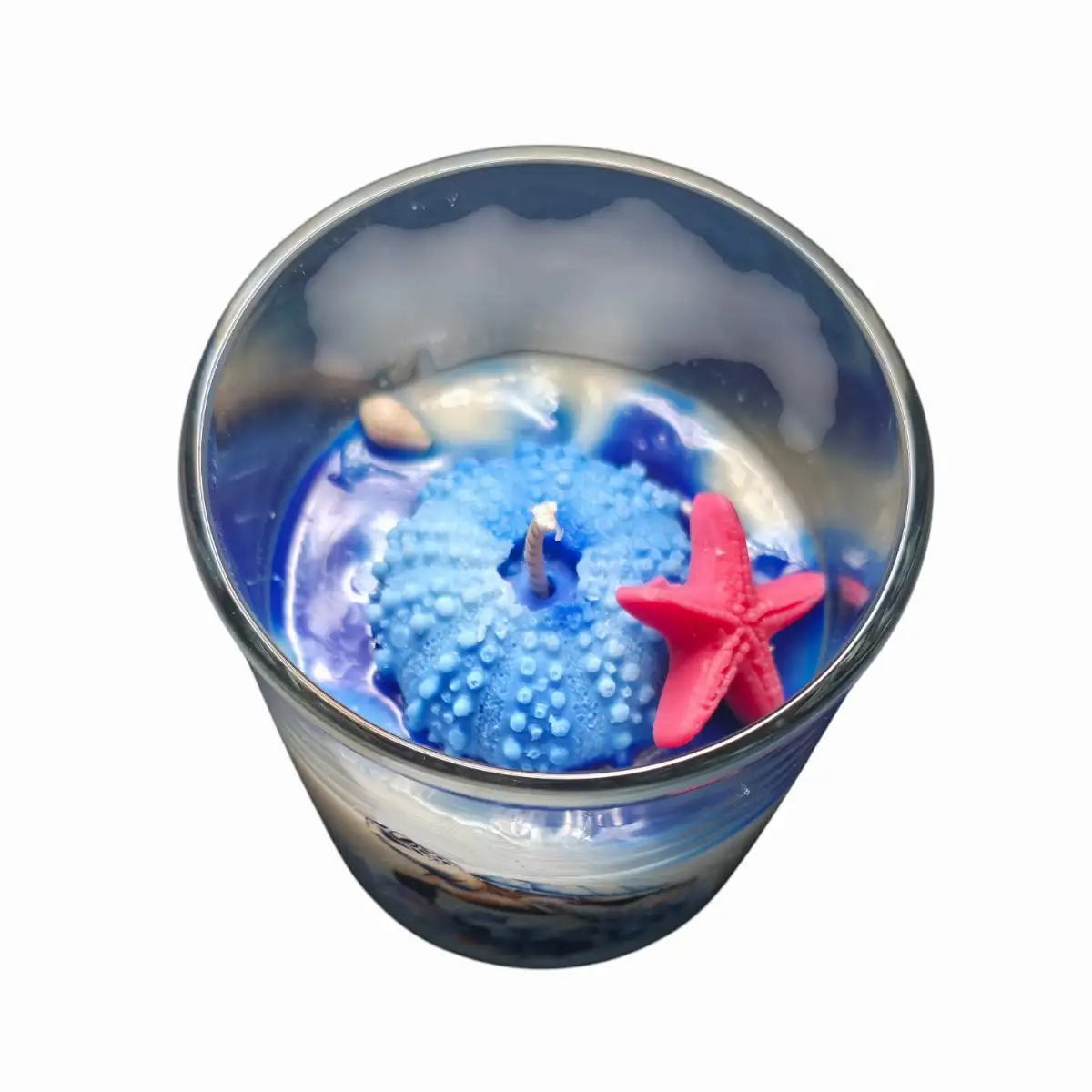 Tortue marine coco passion